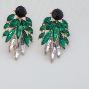 Fashion Earrings