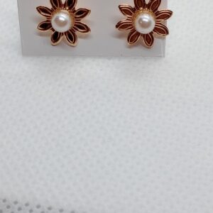 Fashion Earrings